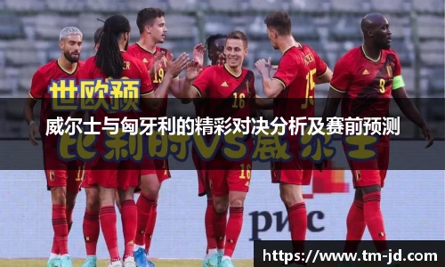 威尔士与匈牙利的精彩对决分析及赛前预测